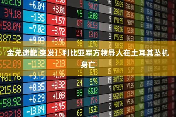 金元速配 突发！利比亚军方领导人在土耳其坠机身亡