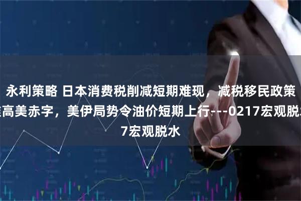 永利策略 日本消费税削减短期难现，减税移民政策推高美赤字，美伊局势令油价短期上行---0217宏观脱水