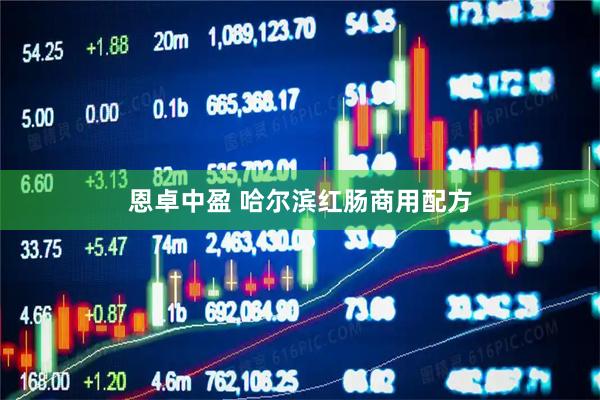 恩卓中盈 哈尔滨红肠商用配方